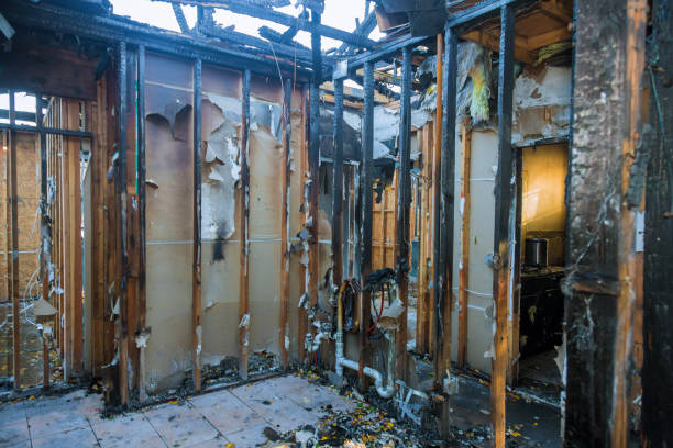 Professional Fire Damage Removal technician working in State Center, IA